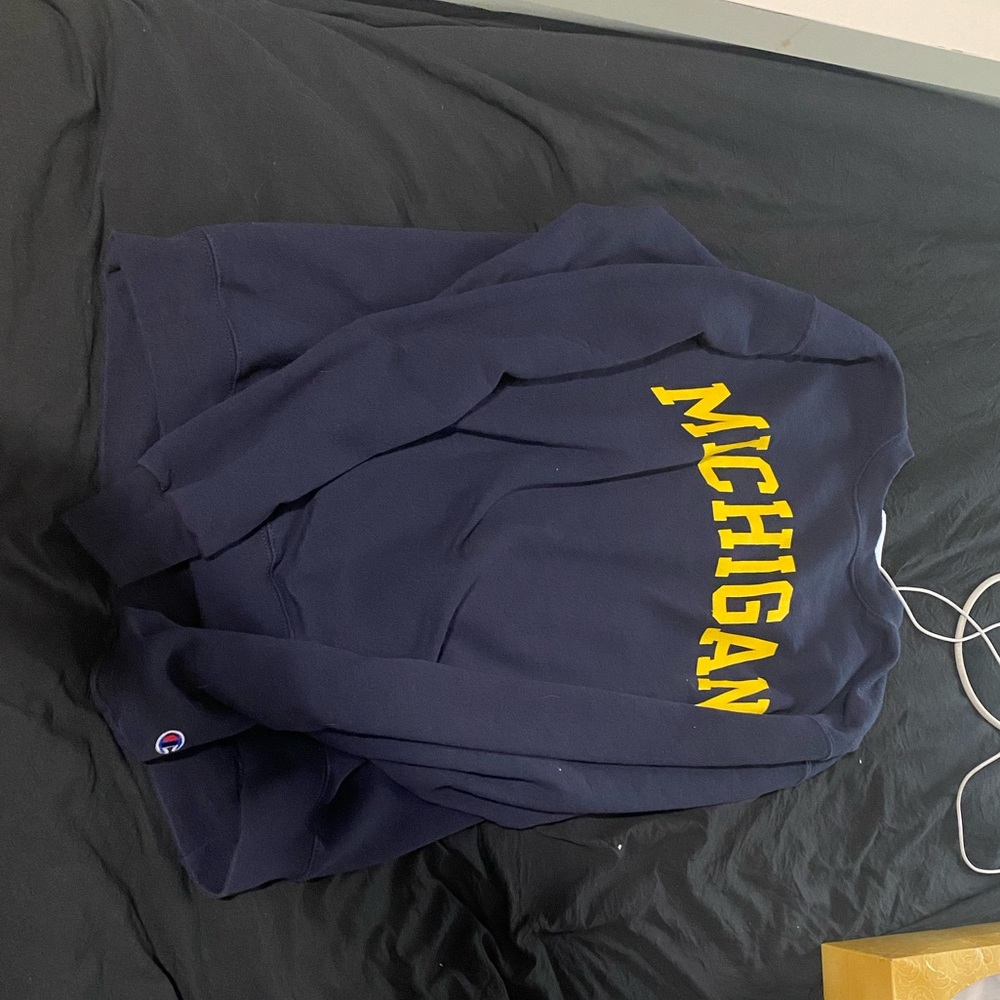Champion brand Michigan crew neck hoodie